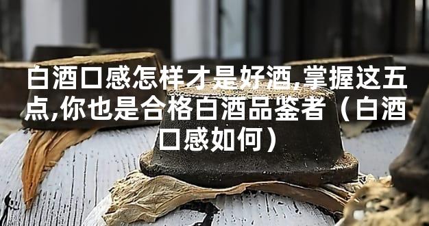 白酒口感怎样才是好酒,掌握这五点,你也是合格白酒品鉴者（白酒口感如何）