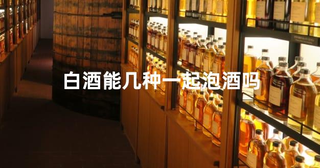 白酒能几种一起泡酒吗