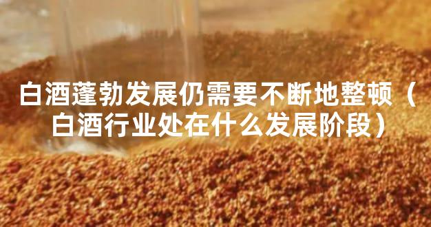 白酒蓬勃发展仍需要不断地整顿（白酒行业处在什么发展阶段）