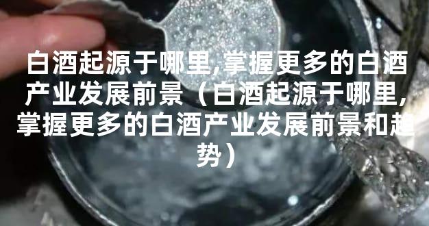 白酒起源于哪里,掌握更多的白酒产业发展前景（白酒起源于哪里,掌握更多的白