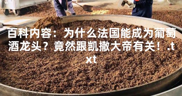 百科内容：为什么法国能成为葡萄酒龙头？竟然跟凯撒大帝有关！.txt