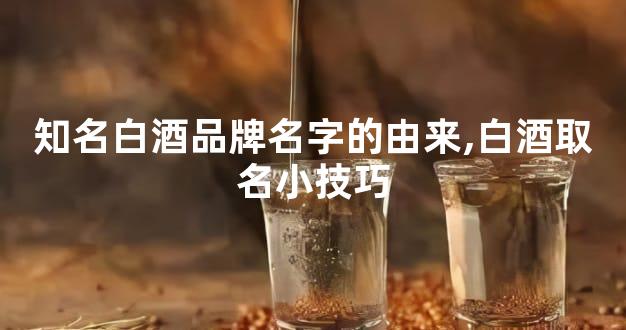 知名白酒品牌名字的由来,白酒取名小技巧