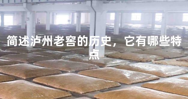 简述泸州老窖的历史，它有哪些特点