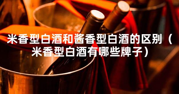 米香型白酒和酱香型白酒的区别（米香型白酒有哪些牌子）