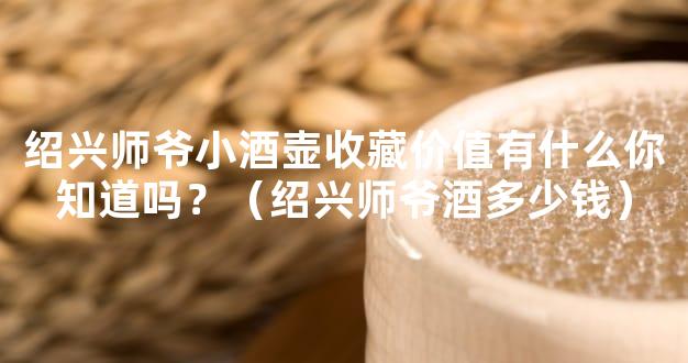绍兴师爷小酒壶收藏价值有什么你知道吗？（绍兴师爷酒多少钱）