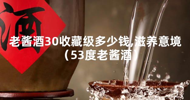 老酱酒30收藏级多少钱,滋养意境（53度老酱酒）
