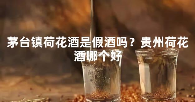 茅台镇荷花酒是假酒吗？贵州荷花酒哪个好