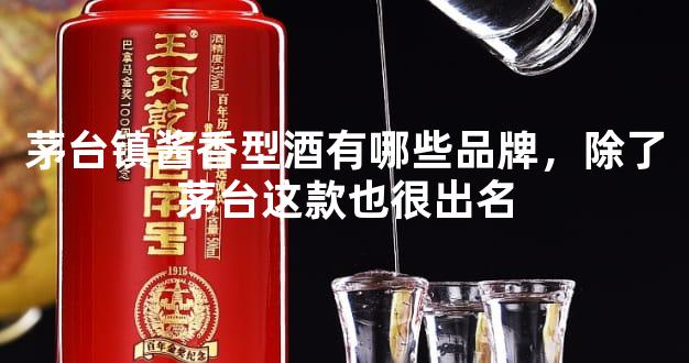 茅台镇酱香型酒有哪些品牌，除了茅台这款也很出名