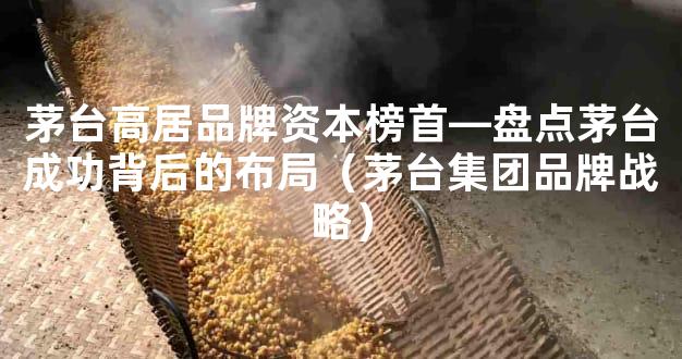 茅台高居品牌资本榜首—盘点茅台成功背后的布局（茅台集团品牌战略）