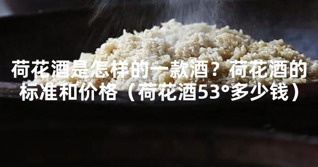 荷花酒是怎样的一款酒？荷花酒的标准和价格（荷花酒53°多少钱）