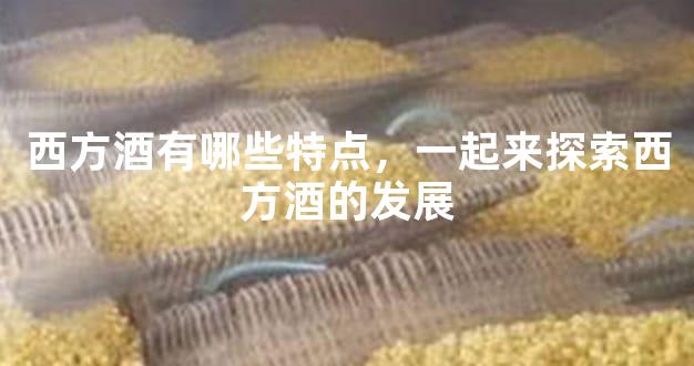 西方酒有哪些特点，一起来探索西方酒的发展