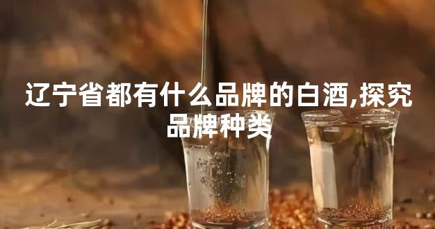 辽宁省都有什么品牌的白酒,探究品牌种类