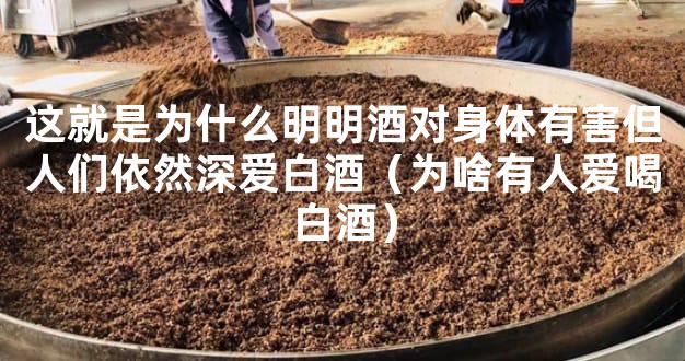 这就是为什么明明酒对身体有害但人们依然深爱白酒（为啥有人爱喝白酒）