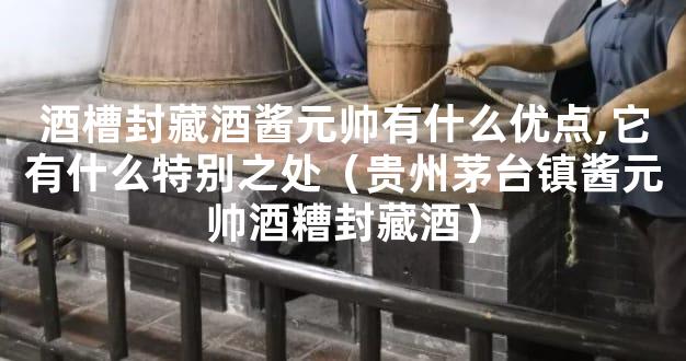 酒槽封藏酒酱元帅有什么优点,它有什么特别之处（贵州茅台镇酱元帅酒糟封藏