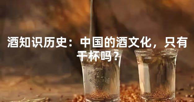 酒知识历史：中国的酒文化，只有干杯吗？