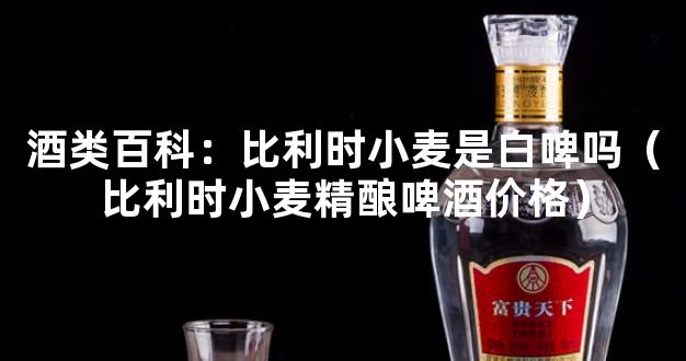 酒类百科：比利时小麦是白啤吗（比利时小麦精酿啤酒价格）