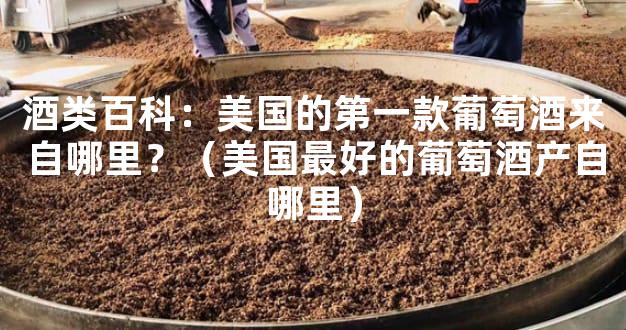 酒类百科：美国的第一款葡萄酒来自哪里？（美国最好的葡萄酒产自哪里）