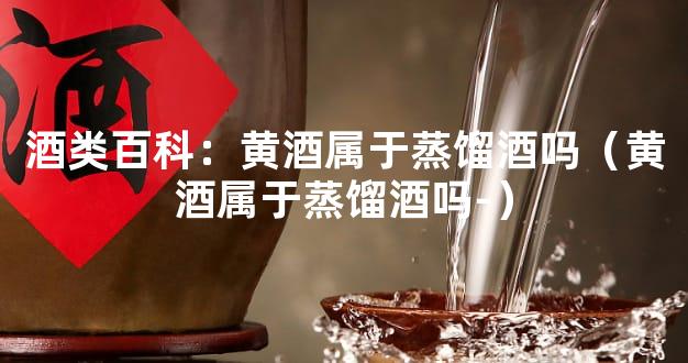 酒类百科：黄酒属于蒸馏酒吗（黄酒属于蒸馏酒吗-）