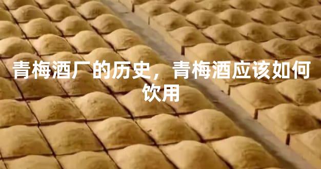 青梅酒厂的历史，青梅酒应该如何饮用