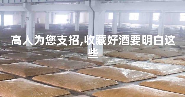 高人为您支招,收藏好酒要明白这些