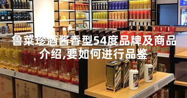 鲁菜珍酒酱香型54度品牌及商品介绍,要如何进行品鉴