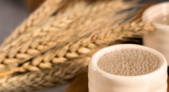 白兰地收藏投资：探索收藏的深层价值