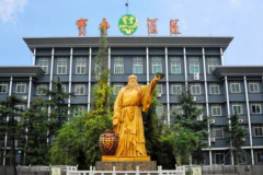宝丰酒厂新消息 宝丰酒厂的未来展望