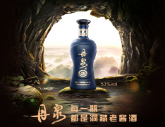丹泉20年洞藏酒有收藏价值吗 丹泉洞藏酒收藏怎么样