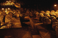 茅台酒厂有几个品牌，茅台酒厂品牌介绍