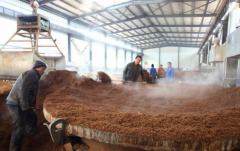 酱酒的主要原料是什么 酿造酱酒的高粱和小麦