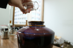 酱香型酒 解密中国白酒文化
