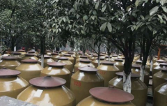 介绍酱香型白酒 酱香型白酒生产流程说明