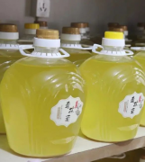 带你了解小榄菊城酒厂的历史，解析小榄菊城酒厂发展历程