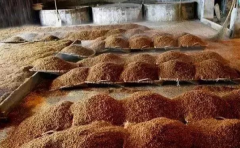 碎沙酒和坤沙酒的区别，快速了解碎沙酒和坤沙酒