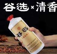 口粮酒普及，谷选2号酒咋样