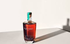 王永桓：以文化自信推动黑龙江酒创新发展